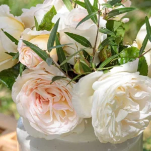 Camille Claudel plikomis šaknimis