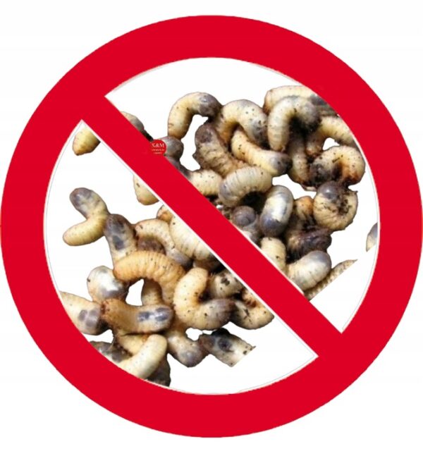 SUMIN IN-CORNO 100ml WIREWORM GRUBS LARVAE BIO - Image 3