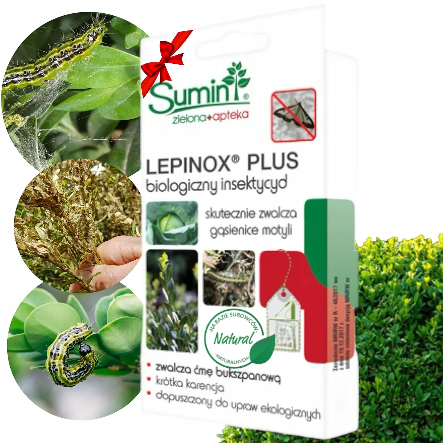 Lepinox Plus 25g buksmedžiams