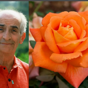 Louis de Funes plikomis šaknimis, siuntimas nuo spalio pabaigos