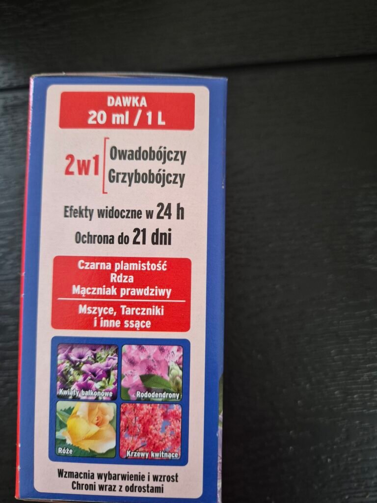Image #2 from Deivydas